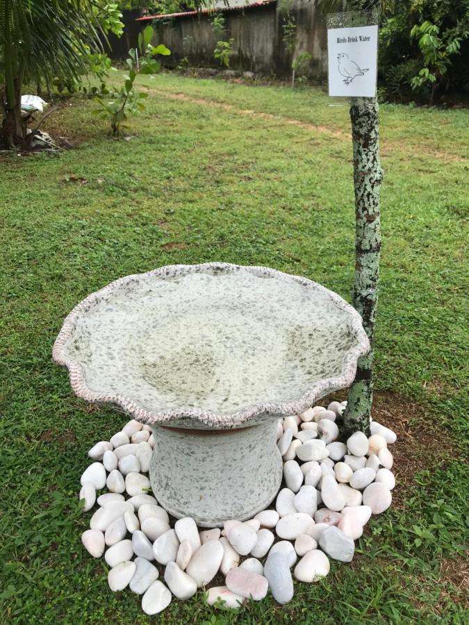Seri Pengkalan Homestay Bachok Exterior foto